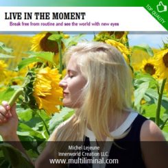 Live in the Moment