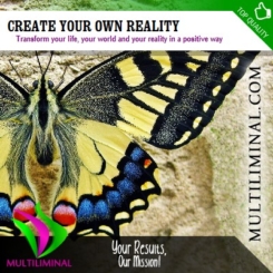 Create Your Own Reality