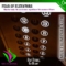 Fear of Elevators