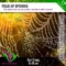 Fear of Spiders