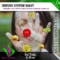 Immune System Boost