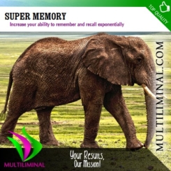 Super Memory
