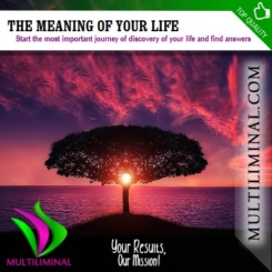 The meaning of your life