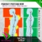Perfect Posture Now